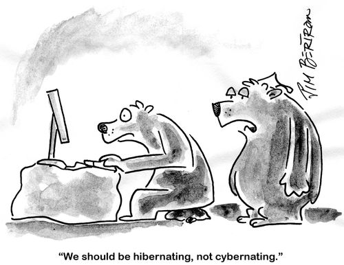 'We should be hibernating, not cybernating.'