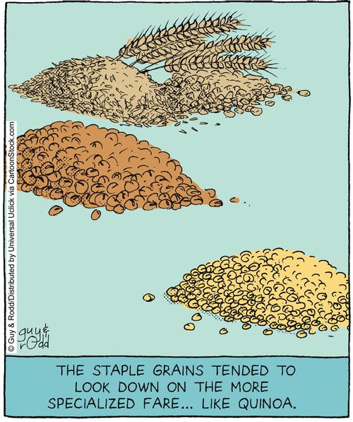 The staple grains tended to look down on the more specialized fare... like quinoa.