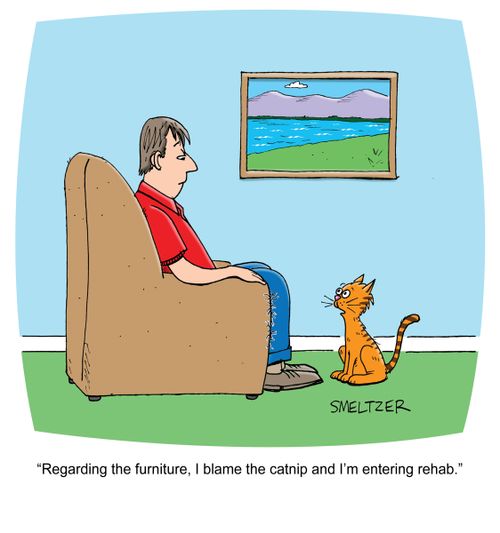 'Regarding the furniture, I blame the catnip and I'm entering rehab.'