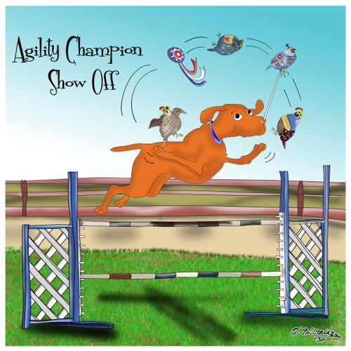 Agility Champion Show Off