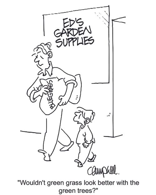 'Wouldn't green grass look better with the green trees?'