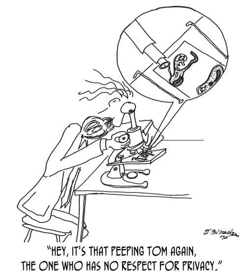 'Hey, it's that peeping Tom again, the one who has no respect for privacy.'