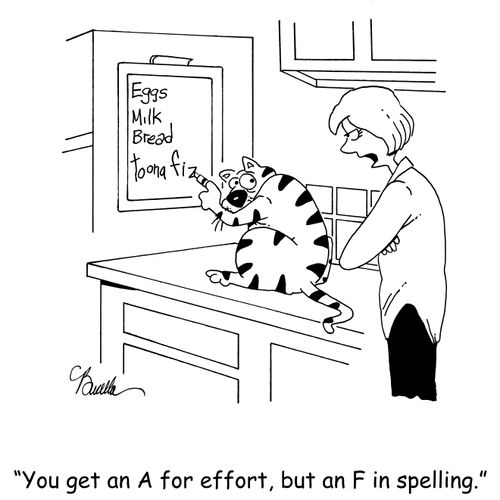 'You get an A for effort, but an F in spelling.'