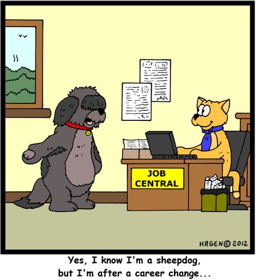 'Yes, I know I'm a sheepdog, but I'm after a career change...'