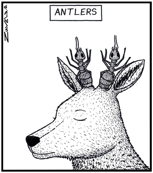Antlers: A Deer with Ants for Antlers.