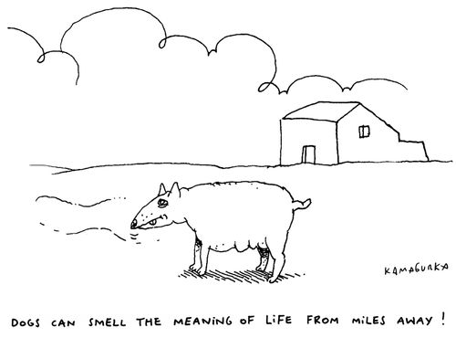 Dogs can smell the meaning of life from miles away!