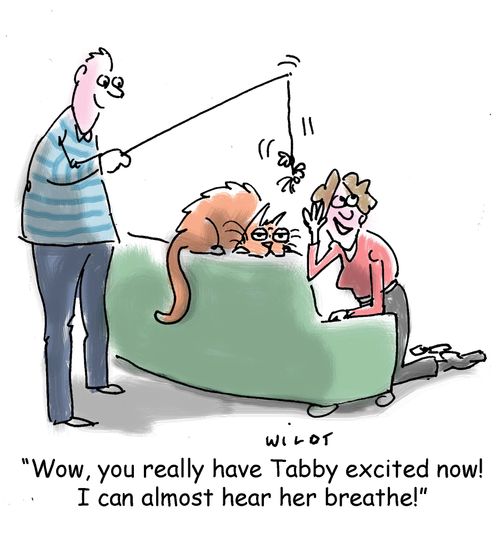 'Wow, you really have Tabby excited now! I can almost hear her breathe!'