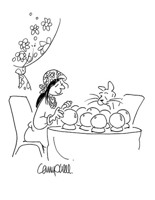 Fortune teller with cat client uses nine crystal balls.