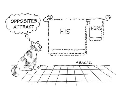 Opposites Attract: HisHers.