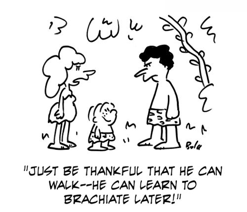 'Just be thankful that he can walk -- he can learn to brachiate later!'