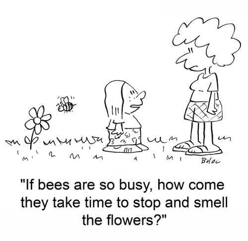 'If bees are so busy, how come they take time to stop and smell the flowers?'