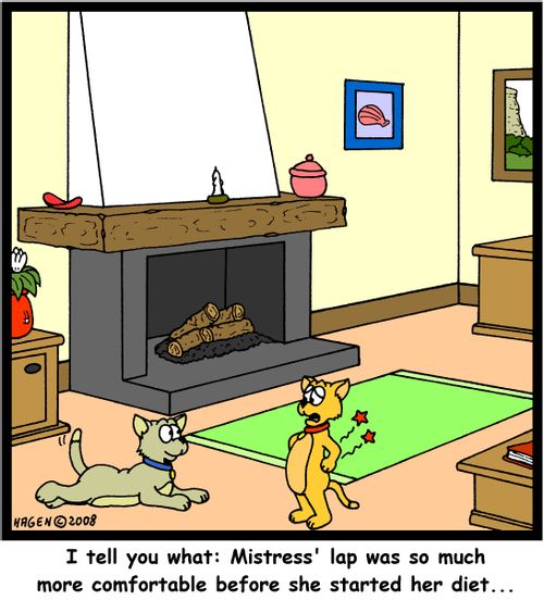 'I tell you what: Mistress' lap was so much more comfortable before she started her diet...'
