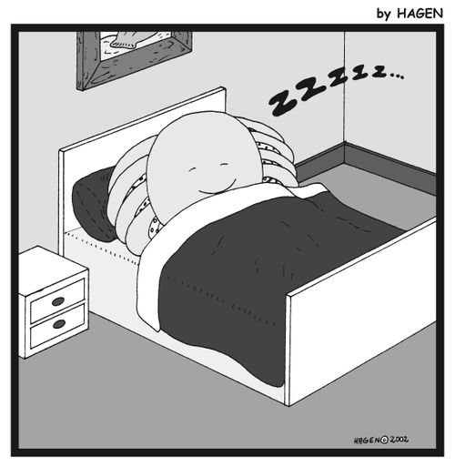 Sleeping octopus.