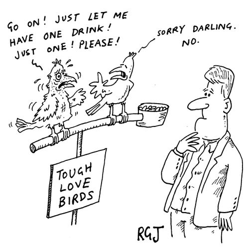 Tough Love Birds