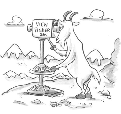 Mountain goat looking through view finder.