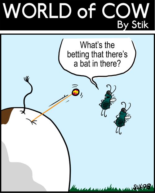 What's the betting there's a bat in there?