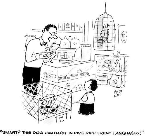 'Smart? This dog can bark in five different languages!'