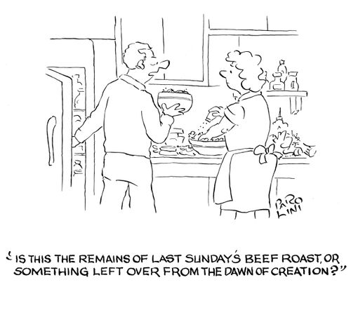 'Is this the remains of last Sunday's beef roast, or something left over from the dawn of creation?'