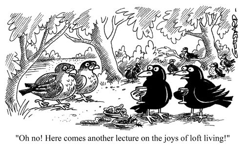 Oh no! Here comes another lecture on the joys of loft living!