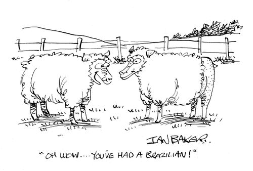 'Oh wow. . . you've had a Brazilian!'