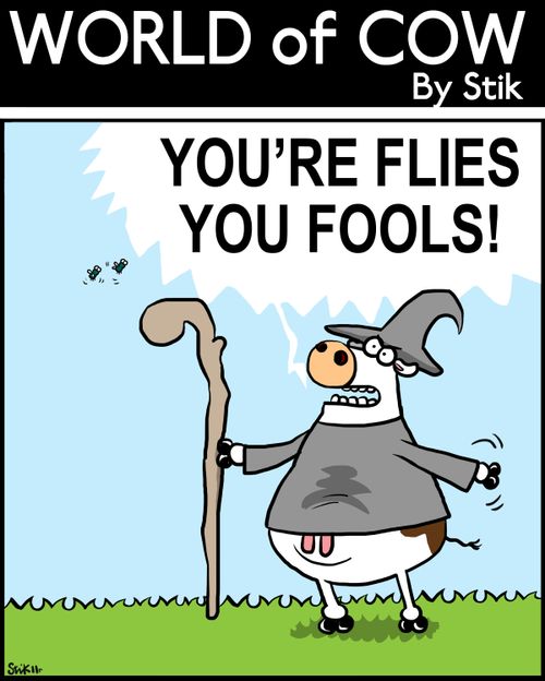 'You're FLIES YOU FOOLS!'