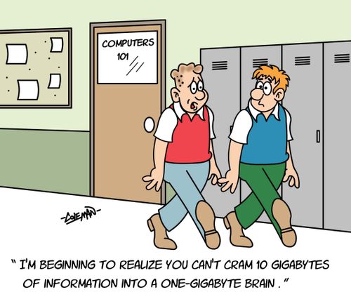 I'm beginning to realize you can't cram 10 gigabytes of information into a one-gigabyte brain.