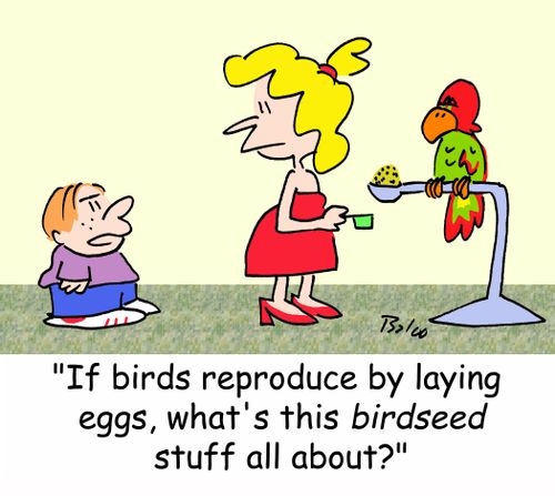 'If birds reproduce by laying eggs, what's this BIRDSEED stuff all about?'