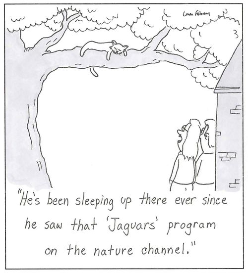 'He's been sleeping up there ever since he saw that 'Jaguars' program on the nature channel.'