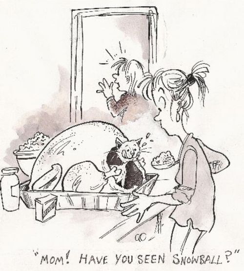 'Mom! Have you seen Snowball?'
