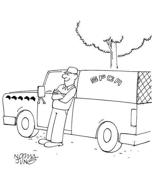 Dog catcher has decals of dog heads signifying the number of dogs he has caught.