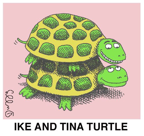 Ike and Tina Turtle.