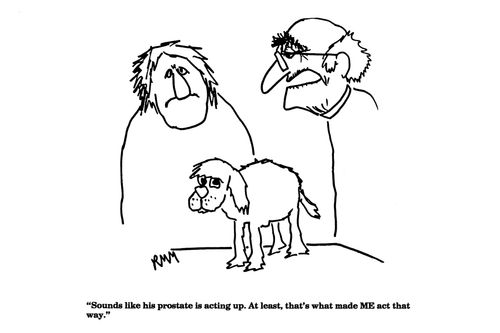 'Sounds like his prostate is acting up....'