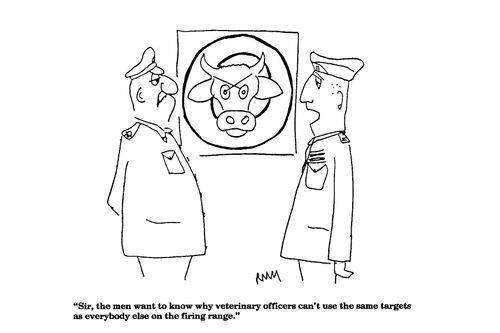 'Sir, the men want to know why veterinary officers can't use the same targets as everyone else.