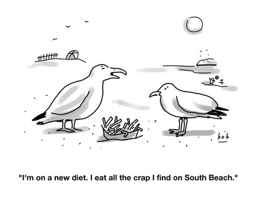 Seagulls on the South Beach diet