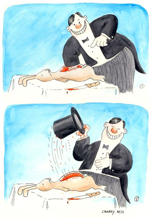 Magician pulls hat from rabbit.
