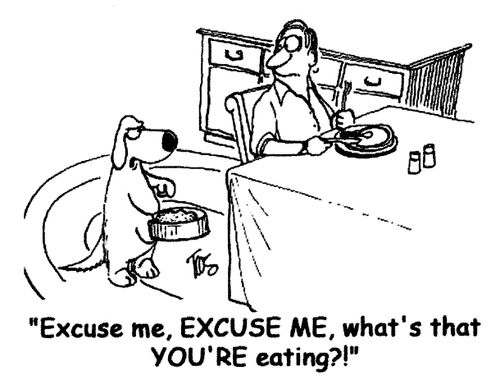 'Excuse me, EXCUSE ME, what's that YOU'RE eating?!'