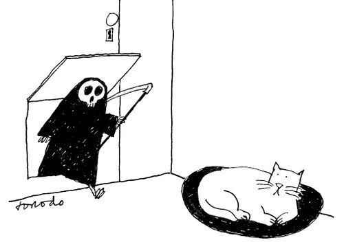Grim Reaper Comes After Cat