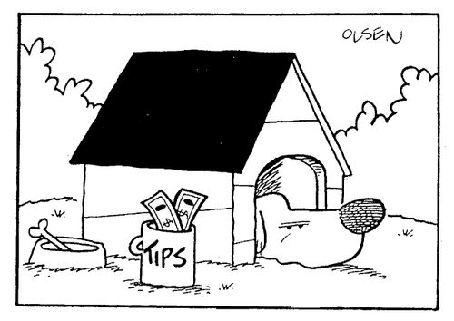 Tips Collection Outside Kennel