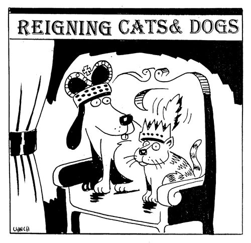 Reigning Cats and Dogs