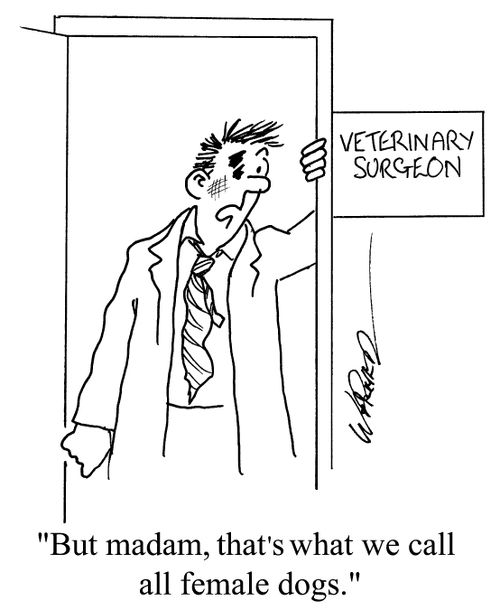 "But Madam, that's what we call all female dogs."