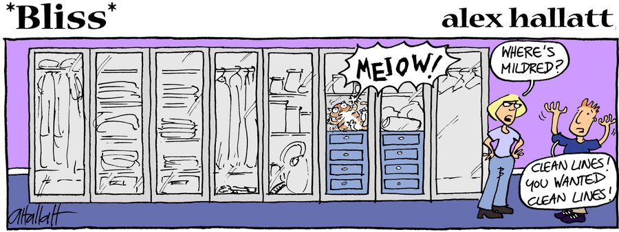 STRIP *Bliss* # 2 Cat stuck in new wardrobe
