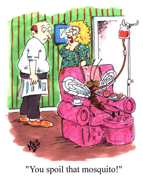 "You spoil that mosquito!"