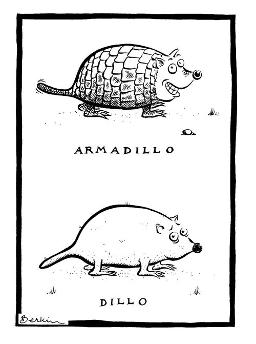 Armadillo / Dillo