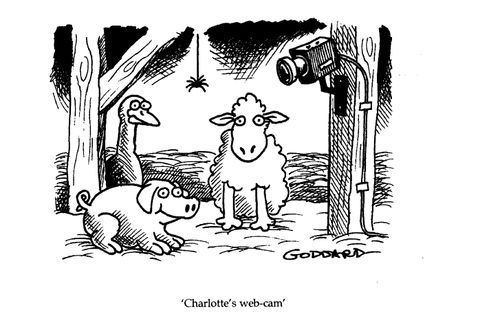 'Charlotte's web-cam'