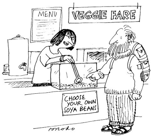 Veggie Fare - Choose Your Own Soya Beans