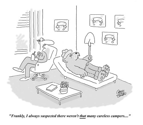 "Frankly, I always suspected there weren't that many careless campers...."