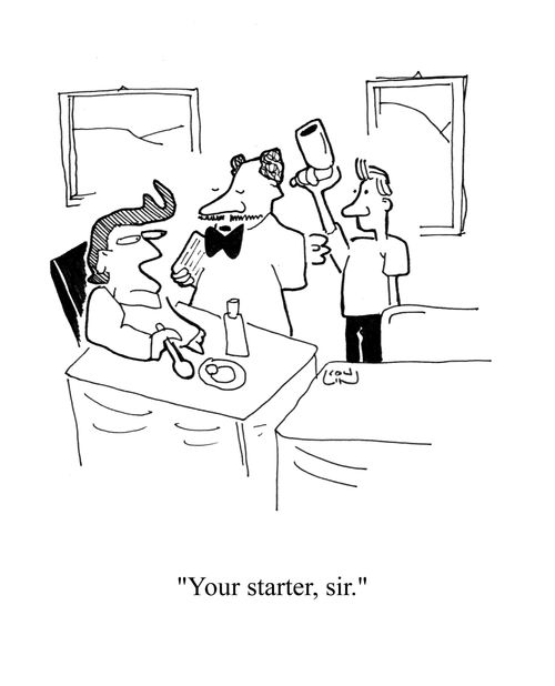 'Your starter, sir.'