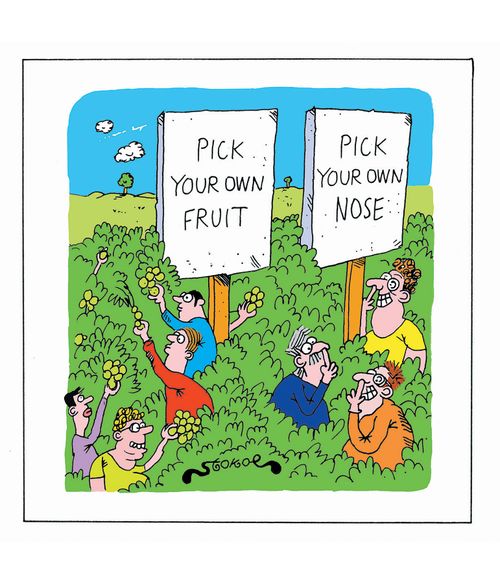 Pick your own fruit - Pick your own nose