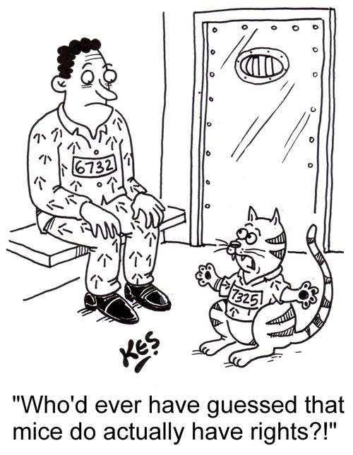 'Who'd ever have guessed that mice do actually have rights?!'