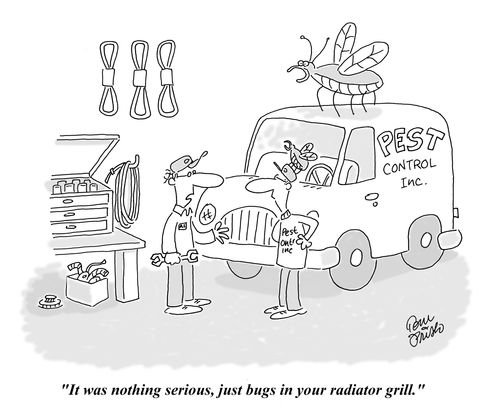 'It was nothing serious, just bugs in your radiator grill.'